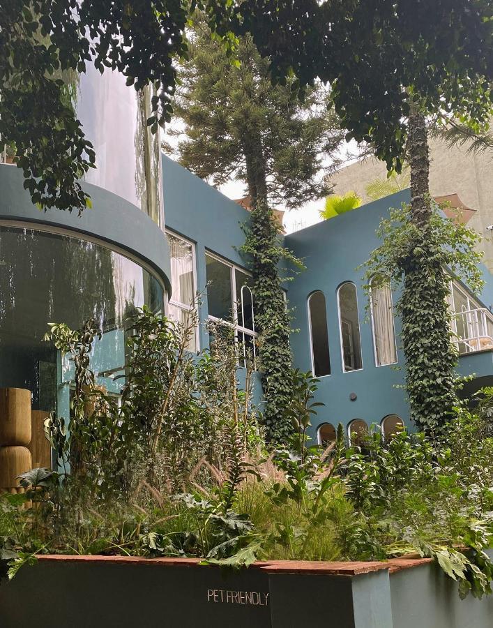 شقة Uma Casa مدينة مكسيكو المظهر الخارجي الصورة